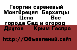 Георгин сиреневый. Монтбреция. Бархатцы.  › Цена ­ 100 - Все города Сад и огород » Другое   . Крым,Гаспра